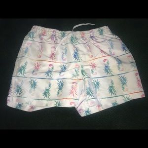 Rare Chubbies The Rancho Mirage 5.5